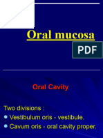 15 Oral Mucosa