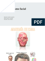 Traumatismo Facial