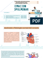 Reanimacion Cardiopulmonar