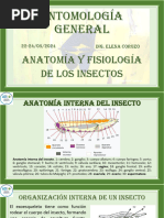 2.2 Anatomía y Fisiología de Los Insectos