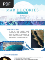 Mar de Cortés - Ecotops