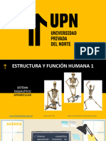 Sesión 4 - S. Esquelético Apendicular