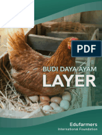 Modul Budi Daya Ayam Layer 3