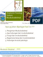 Anatomi Fisiologi Sistem Muskuloskeletal