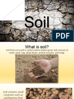 Soil Editable PowerPoint