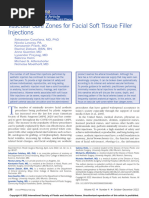 2022 Vascular Safe Zones For Facial Soft Tissue Filler Injections