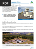 Industrial Cogeneration - Vista Projects