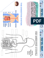 Documento A4 Papelería Corporativa Notas Formas Abstractas Orgánicas Acuarela Pastel