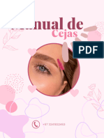 Manual Cejas HD 4k PDF