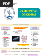 Cardiopatías Congénitas - Mercedes Pulido Daiana