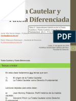 03.04. Tutela Cautelar y Tutela Diferenciada PPT Clase 3 Tema 3 y 4 VF (0306727xD5325)