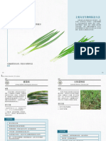 青蔥有害生物綜合管理操作指引