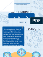 Mitosis Cell Reproduction Presentation in Blue Orange Illustrative Style 20240530 134446 0000