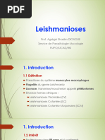 3-Leishmanioses - 24 KD