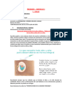 Actividades I-Ciclo Del 01 Al 25 de Julio 2024