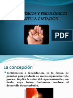 Cambios Fsicos y Psicolgicos Durante La Gestacin