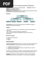 Animales Clasificacion