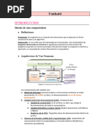 Resumen Conceptual U4