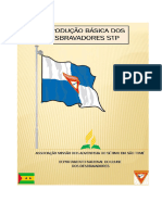 Itrodução Basica STP PDF