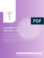 Evidence in Wound Care: Position Document