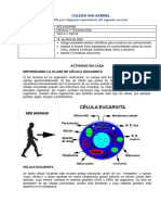 S1-2021 Tarea Primero de Secundaria