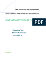 Presented By:-Sharan Kaur Saini 2023 - BDS - 79: Topic: - Permanent Maxillary 1 Premolar