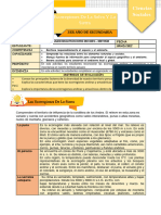 Ficha de Actividad CCSS 3° - Semana 2