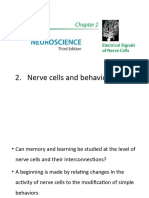 Nerve Cells and Behavior