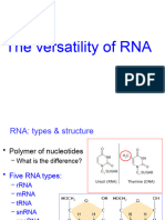 Ribonucleic Acid2