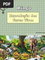 Bingo Tipos de Reproducao