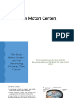 Brain Motors Centers