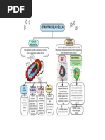 Estructura de Las Células