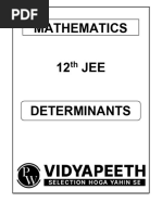 Determinants DPPs