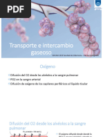 Transporte e Intercambio Gaseoso. PPT AUTODIDAXIA