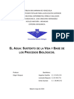 El Agua: Sustento de La Vida y Base de Los Procesos Biológicos