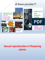 Chap2Sexual Reproduction in Flowering Plants - LEARNING POINTS