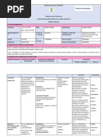 Plan de Unidad Didactica Eess