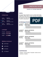 180 Modele CV Attractif 97 2003