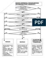 Algoritm de Diagnostic Diferenţial Nevroze, Psihoze, Tulburări de Personalitate