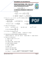 PRAC DIRIGIDA - Complejos - Mate-2024-A