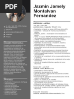 Jazmin Jamely CV