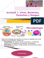 Virus 24a