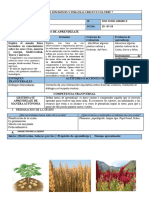 Sesion Ciencia y Tecnologia LAS PLANTAS Nativas 10 .07 - 24 2