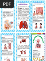 Triptico Sistema Respiratorio