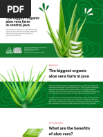 AMI Aloe Vera Product Catalog