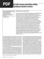 A Multimodal Cell Census and Atlas of The Mammalian Primary Motor Cortex