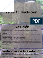 Tema 10. La Evolución.