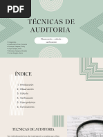 Tecnica de Auditoria