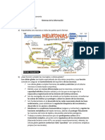 Biologia - Sistema Nervioso