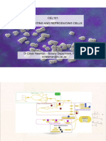 DNA Structure and Replication